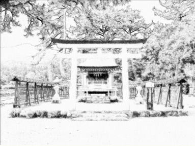 �����_�Ё@�X�P�b�`��